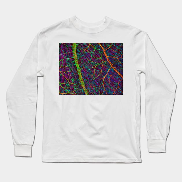 Retina blood vessels and nerve cells (C009/5825) Long Sleeve T-Shirt by SciencePhoto